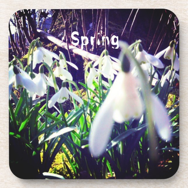 Photographic Snowdrops by River Severn / Hafren Coaster (Front)