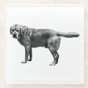 Photographic Weight Glass Coaster