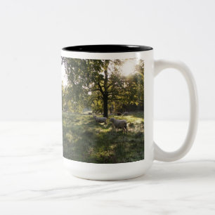 Photographing Sheep Two-Tone Coffee Mug