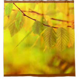 Photography - autumn beech leaves + your ideas shower curtain