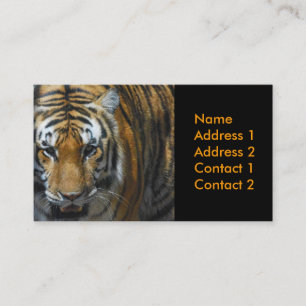 photography business card