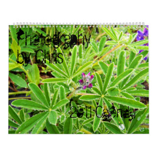 Photography by Chris 2011 Calendar