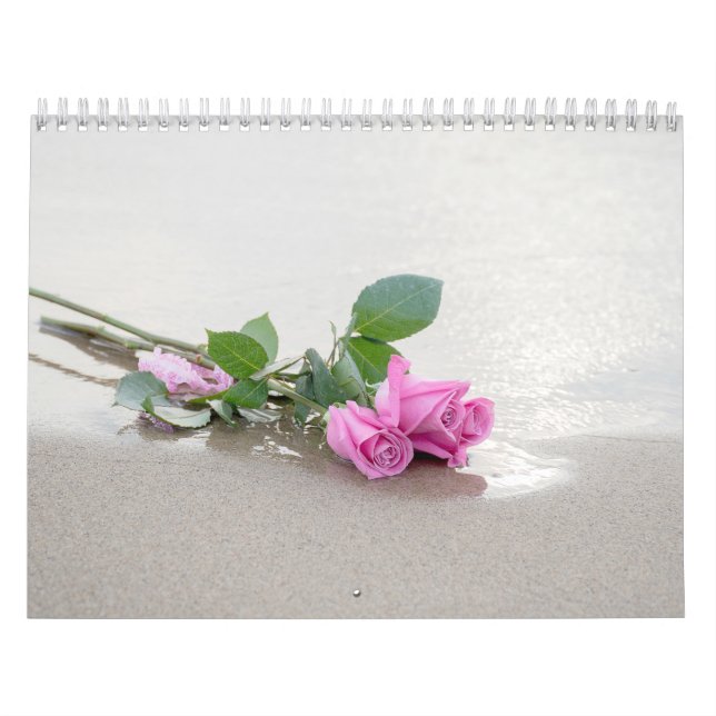 Photography Collection Calendar (Cover)