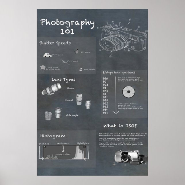 Photography Infographic Poster (Front)