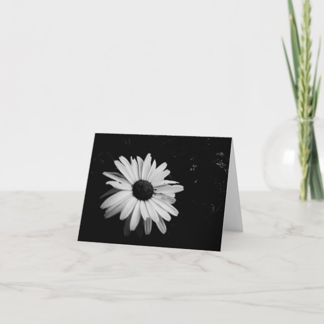 Photography Notecards (Front)