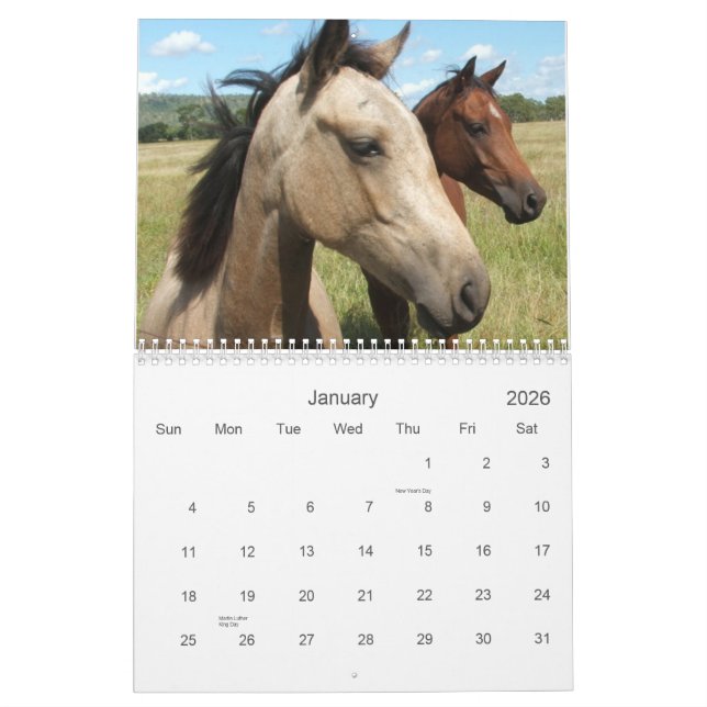 Photography of Horses Calendar (Jan 2026)