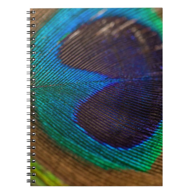 Photography of peacock feather notebook (Front)