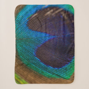 Photography of peacock feather sherpa blanket