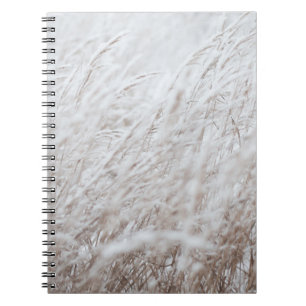 Photography of white grass field notebook