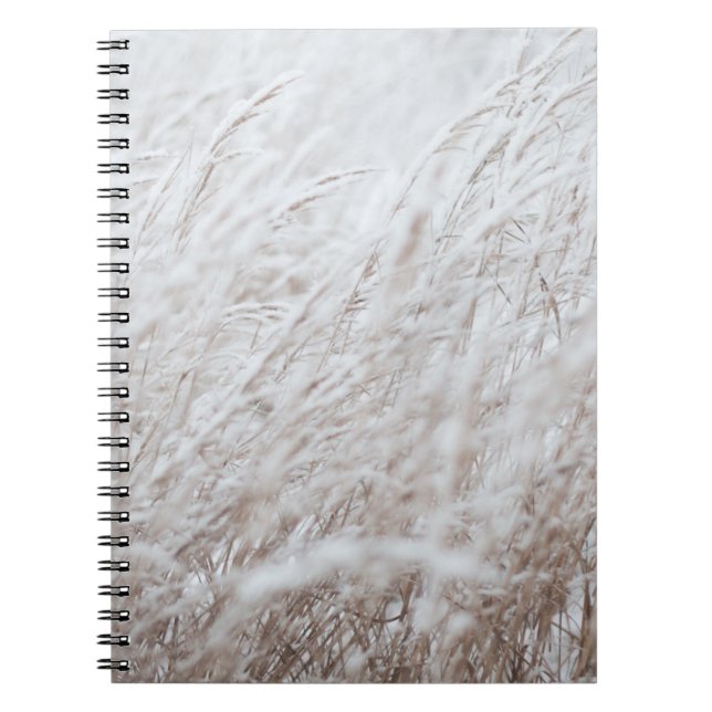 Photography of white grass field notebook (Front)