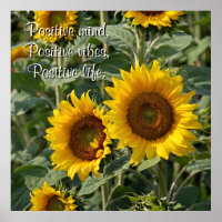 Photography Sunflowers in Nature Personalised