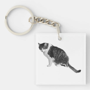 Photoreal Cat Keychain Lends Friendly Routine Supp