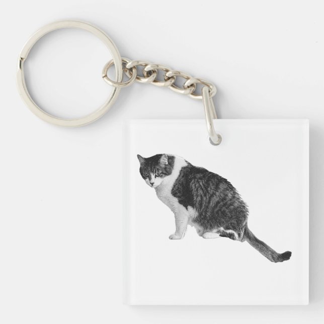 Photoreal Cat Keychain Lends Friendly Routine Supp (Front)