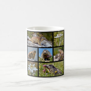 Photos mosaic Alpine marmots and edelweiss Coffee Mug