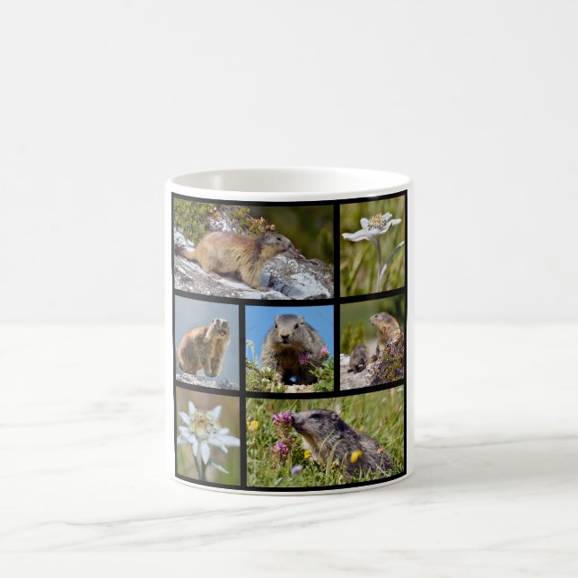 Photos mosaic Alpine marmots and edelweiss Coffee Mug (Center)