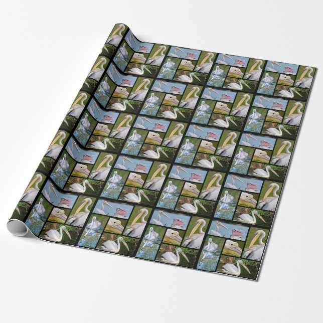 Photos mosaic of pelicans  wrapping paper (Unrolled)