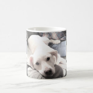 Photos of A Super Cute Puppy Dog Chilling Out Coffee Mug