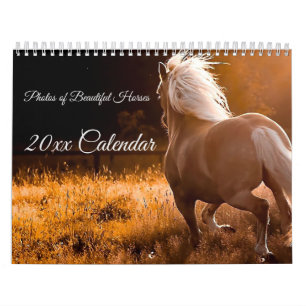 Photos of Beautiful Horses Calendar