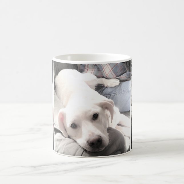 Photos of Cute White Dog Hanging Out With Dad Coffee Mug (Center)