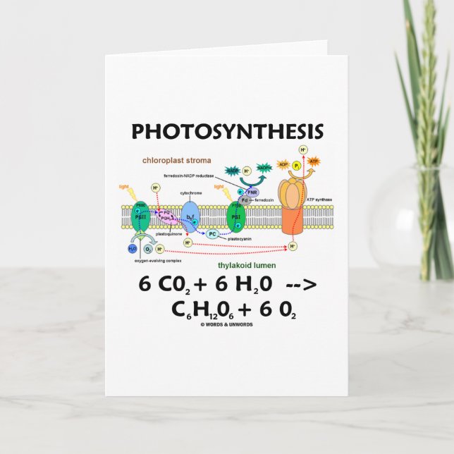 Photosynthesis (Carbon Dioxide + Water) Card (Front)
