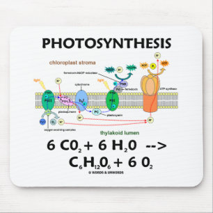 Photosynthesis (Carbon Dioxide + Water) Mouse Pad
