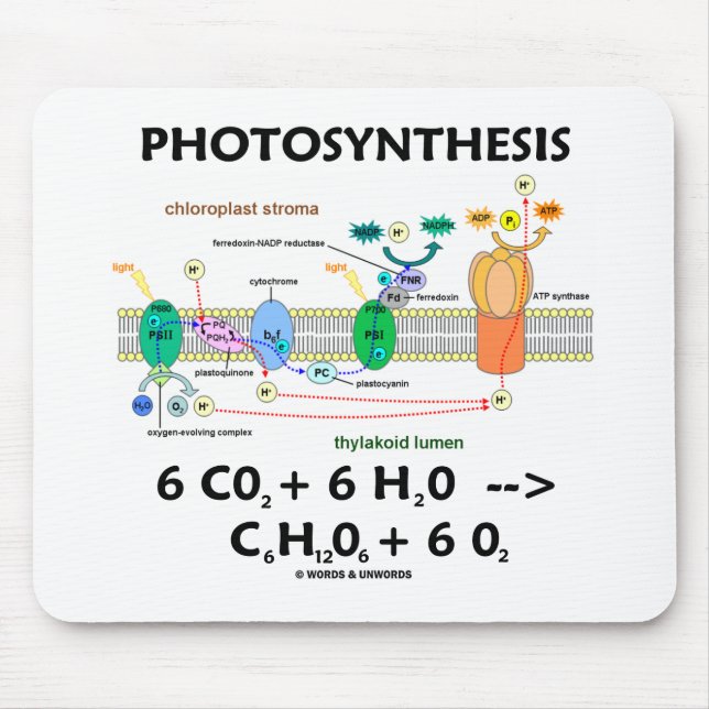 Photosynthesis (Carbon Dioxide + Water) Mouse Pad (Front)