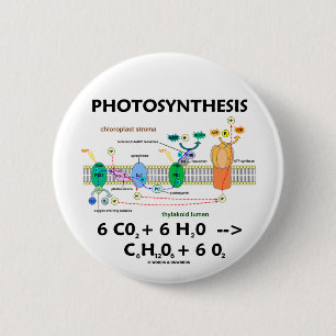 Photosynthesis (Chemical) Formula 6 Cm Round Badge