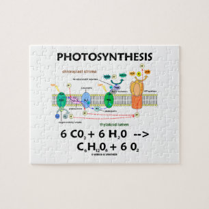 Photosynthesis (Chemical Formula Light-Dependent) Jigsaw Puzzle