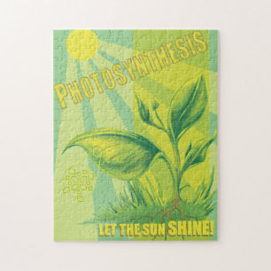 Photosynthesis Jigsaw Puzzle