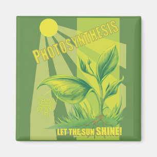 Photosynthesis Magnet