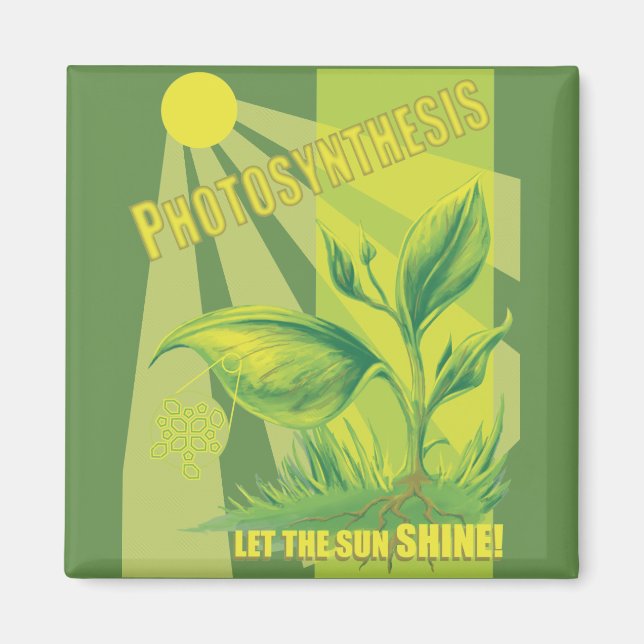 Photosynthesis Magnet (Front)