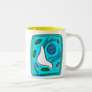 Photosynthesis Mug