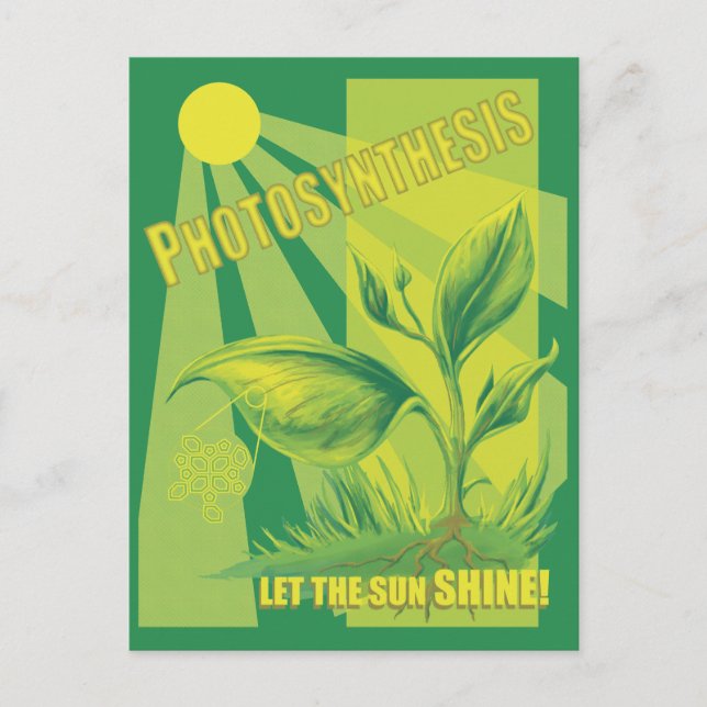 Photosynthesis Postcard (Front)