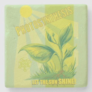 Photosynthesis Stone Coaster