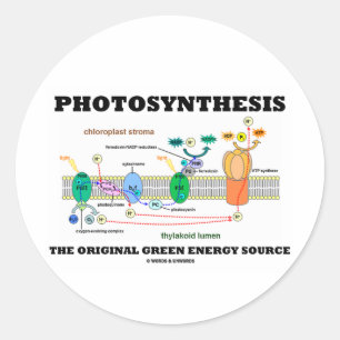 Photosynthesis The Original Green Energy Source Classic Round Sticker