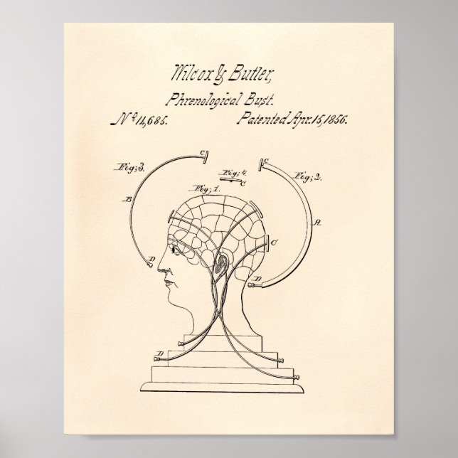 Phrenological Bust 1856 Patent Art Old Peper Poster (Front)