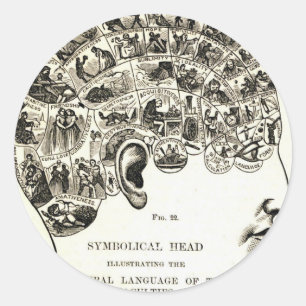 Phrenology Classic Round Sticker