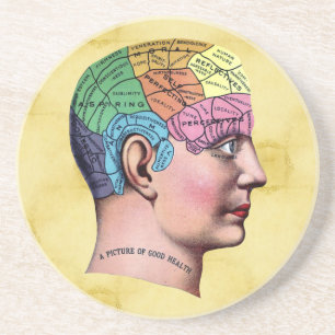 Phrenology Coaster