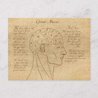 Phrenology Diagram Postcard