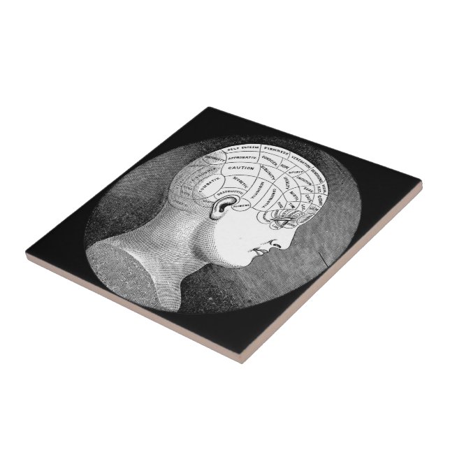 Phrenology Head Diagram Ceramic Tile (Side)
