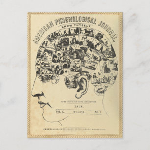 Phrenology: Know Thyself (Postcard) Postcard