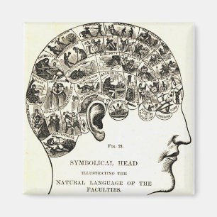 Phrenology Magnet