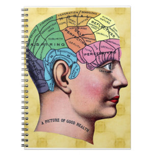 Phrenology Notebook