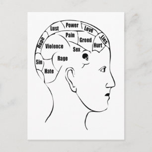 Phrenology Postcard