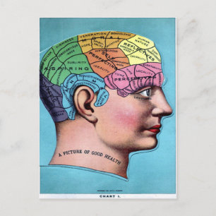 Phrenology Postcard