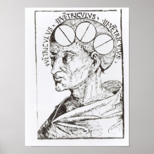 Phrenology Poster