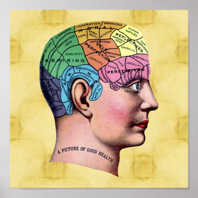 Phrenology Poster (Front)