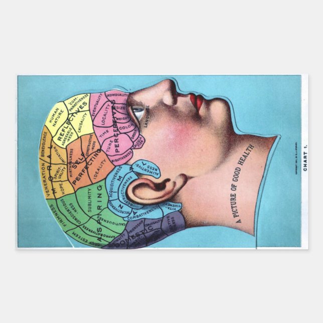 Phrenology Sticker (Front)