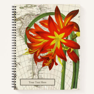 Phycella Fulgens Notebook