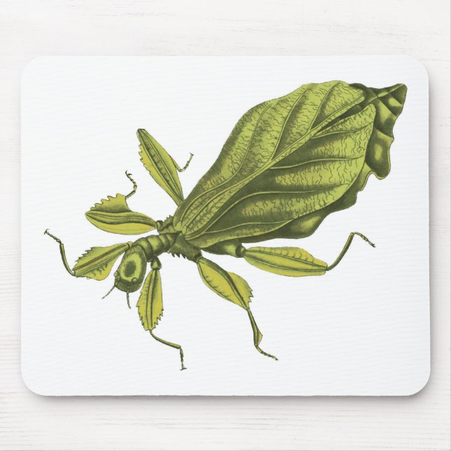 Phyllium Siccifolia Mouse Pad (Front)